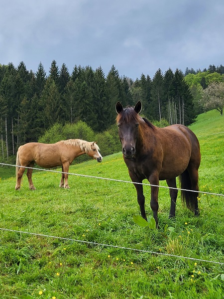 Tinka und Jana
